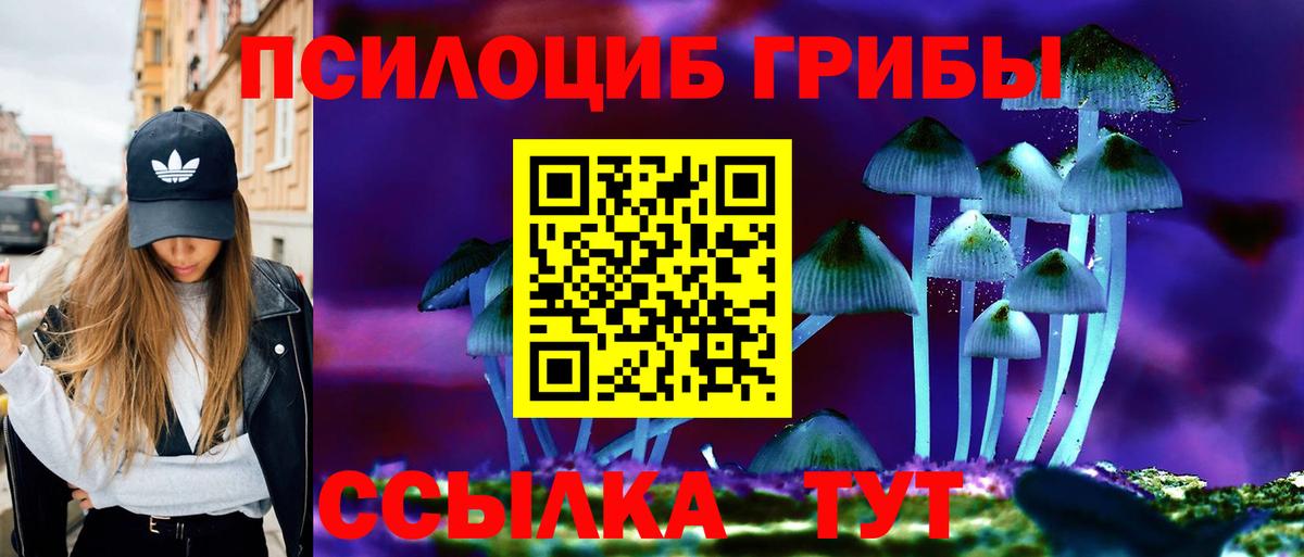 Псилоцибиновые грибы прущие грибы Калач-на-Дону