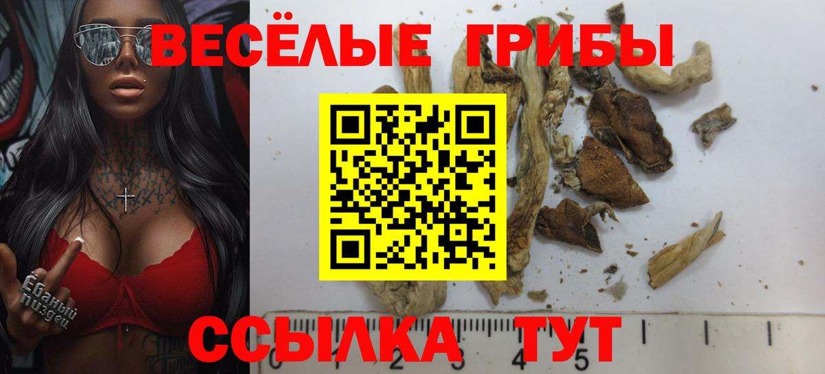 Псилоцибиновые грибы GOLDEN TEACHER  Вход с VPN  Калач-на-Дону 